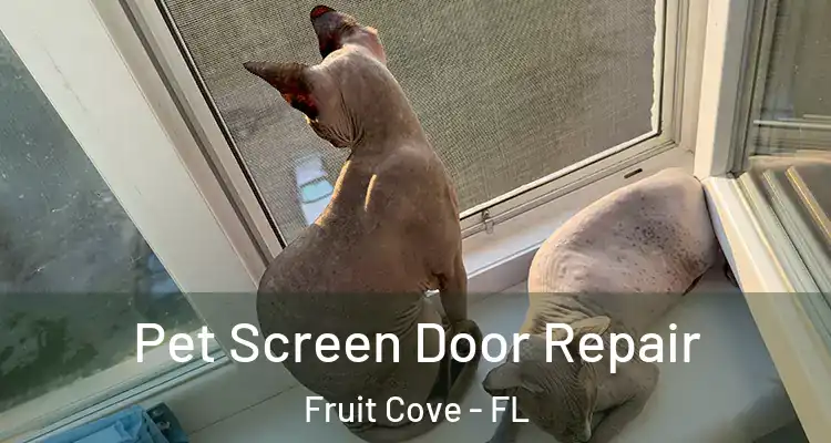 Pet Screen Door Repair Fruit Cove - FL