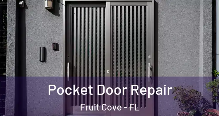 Pocket Door Repair Fruit Cove - FL
