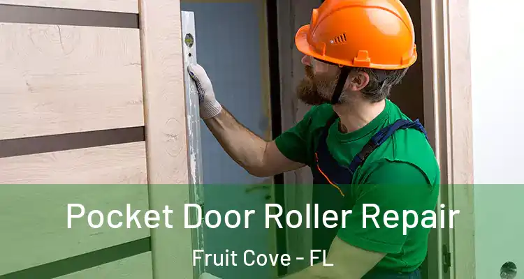 Pocket Door Roller Repair Fruit Cove - FL