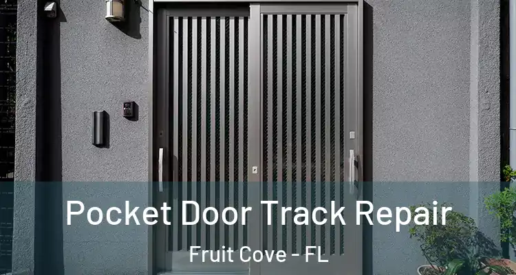 Pocket Door Track Repair Fruit Cove - FL