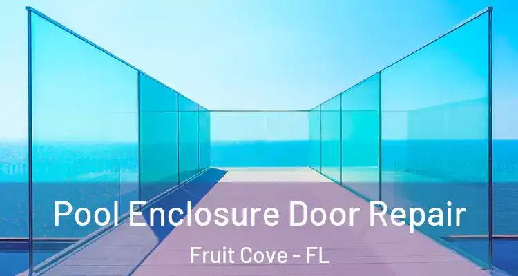 Pool Enclosure Door Repair Fruit Cove - FL
