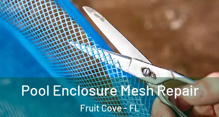 Pool Enclosure Mesh Repair Fruit Cove - FL