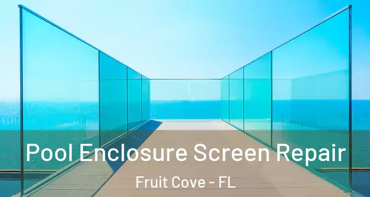 Pool Enclosure Screen Repair Fruit Cove - FL