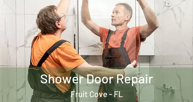 Shower Door Repair Fruit Cove - FL
