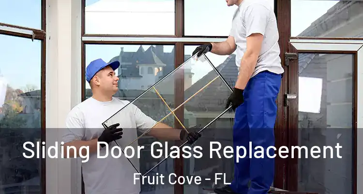 Sliding Door Glass Replacement Fruit Cove - FL