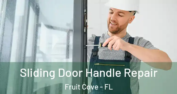 Sliding Door Handle Repair Fruit Cove - FL