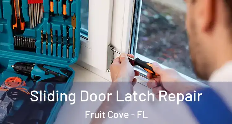 Sliding Door Latch Repair Fruit Cove - FL