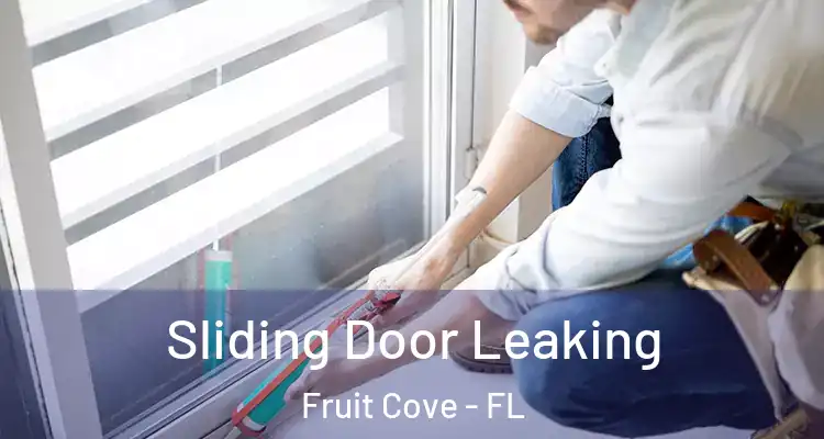 Sliding Door Leaking Fruit Cove - FL