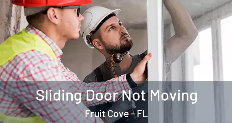 Sliding Door Not Moving Fruit Cove - FL