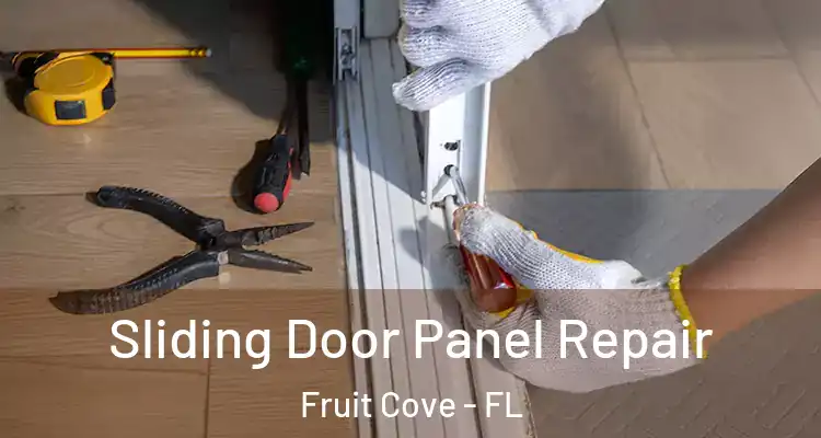 Sliding Door Panel Repair Fruit Cove - FL