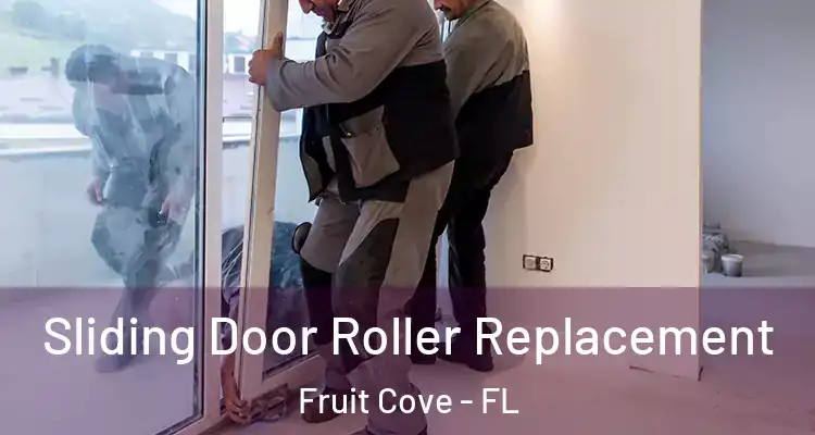 Sliding Door Roller Replacement Fruit Cove - FL