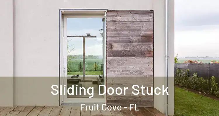 Sliding Door Stuck Fruit Cove - FL