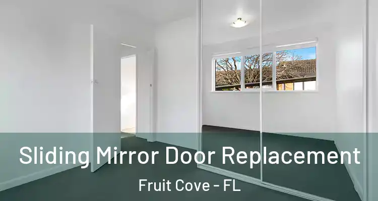 Sliding Mirror Door Replacement Fruit Cove - FL