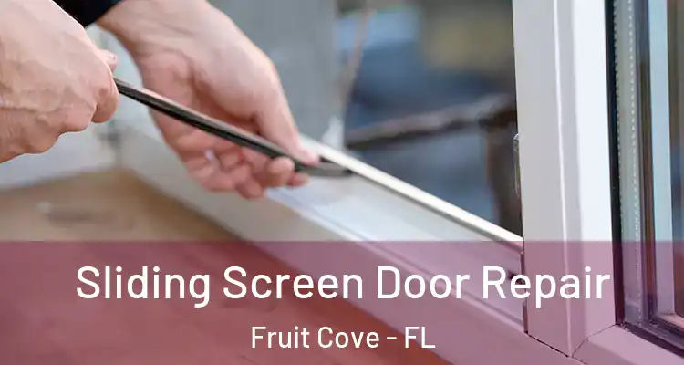 Sliding Screen Door Repair Fruit Cove - FL