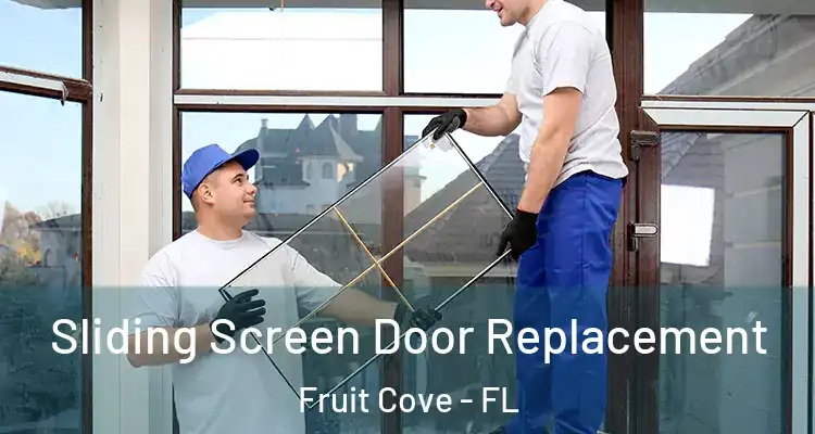 Sliding Screen Door Replacement Fruit Cove - FL