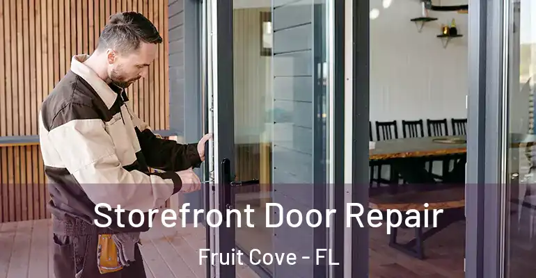 Storefront Door Repair Fruit Cove - FL