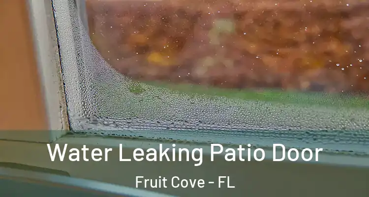 Water Leaking Patio Door Fruit Cove - FL