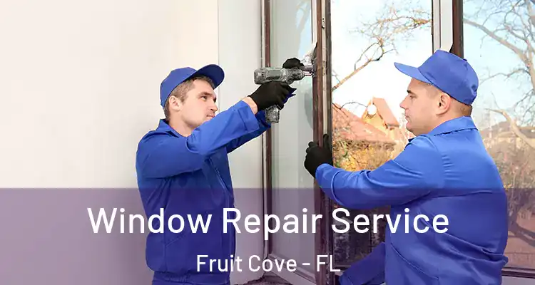 Window Repair Service Fruit Cove - FL
